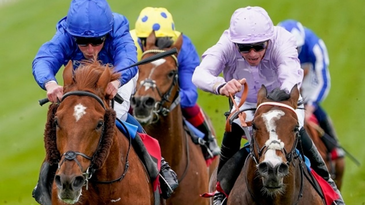 Changingoftheguard Provides Trainer Aidan O'Brien With His 8 ... Image 3